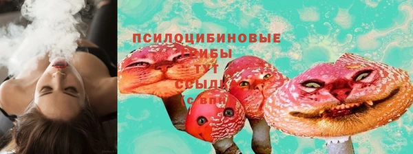 mdpv Гусиноозёрск