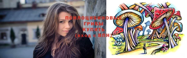 mdpv Гусиноозёрск