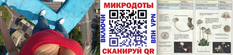 Галлюциногенные грибы мухоморы  купить наркотики сайты  Палласовка 